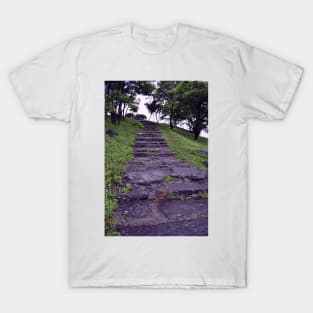 Steps on Campus of Far East Federal University, Vladivostok, Russia T-Shirt